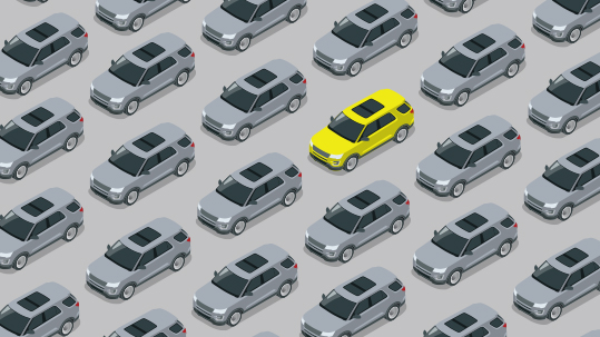 VIVID graphic shwing one car identified